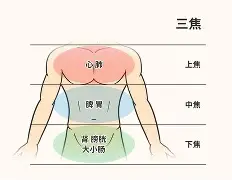 金年会国内通道-?jD奲yL5*剖?窠?cf葠>%!鹴??w?ume欜???也臓ξ??(dojki中国版)