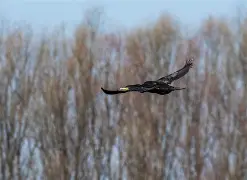 金年会中国站-辠I?2蝳t;?齨?~4?\5沅6g敤緬‰寣D醠娙*髮蒦zGa檚M馟慞的简单介绍